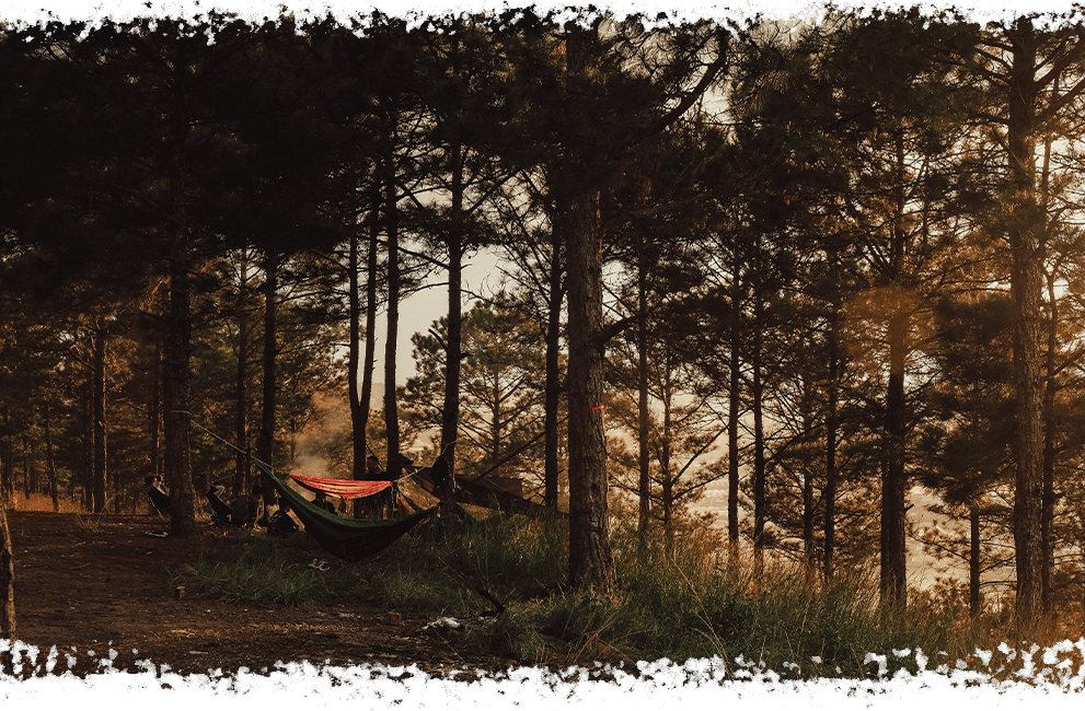 Camping in het achterland van Béziers, in Hérault, camping l'Oliveraie