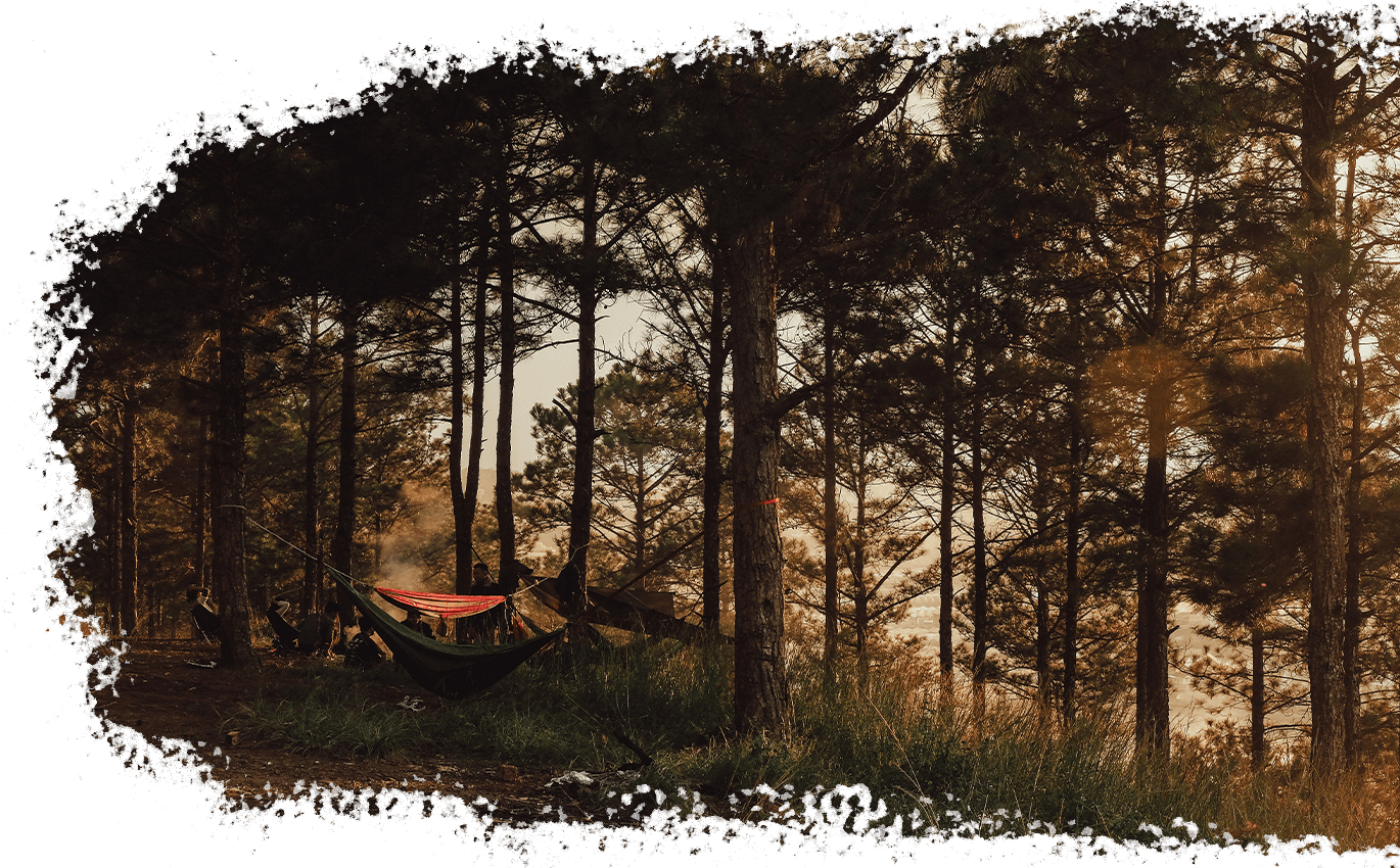 Campsite in the Béziers hinterland in the Hérault, the campsite L'Oliveraie