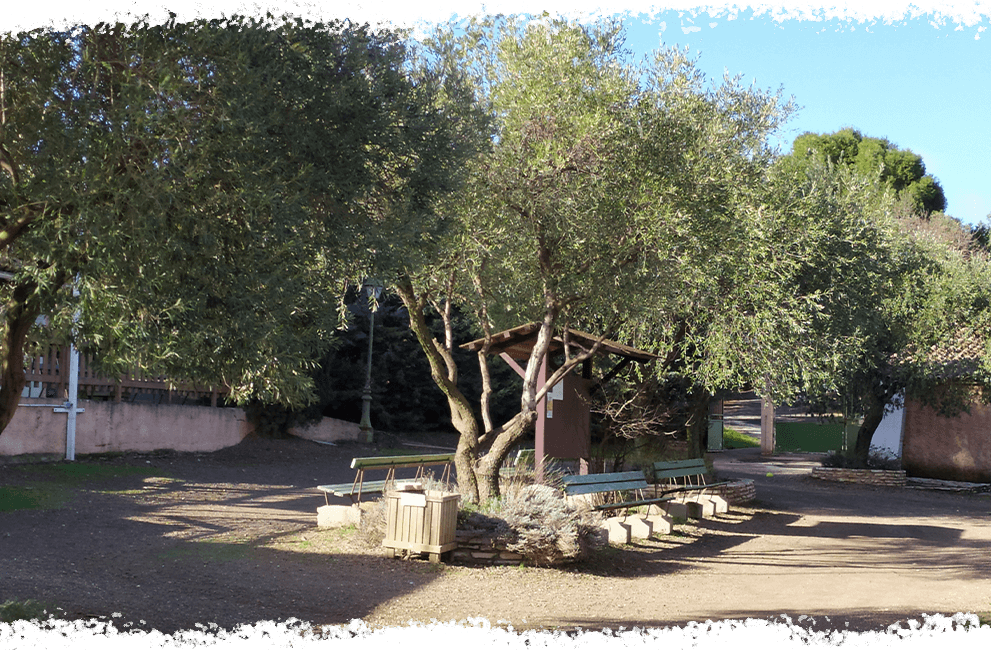 Los servicios ofrecidos en el camping de l’Oliveraie situado al pie del Parque Natural Regional del Haut Languedoc