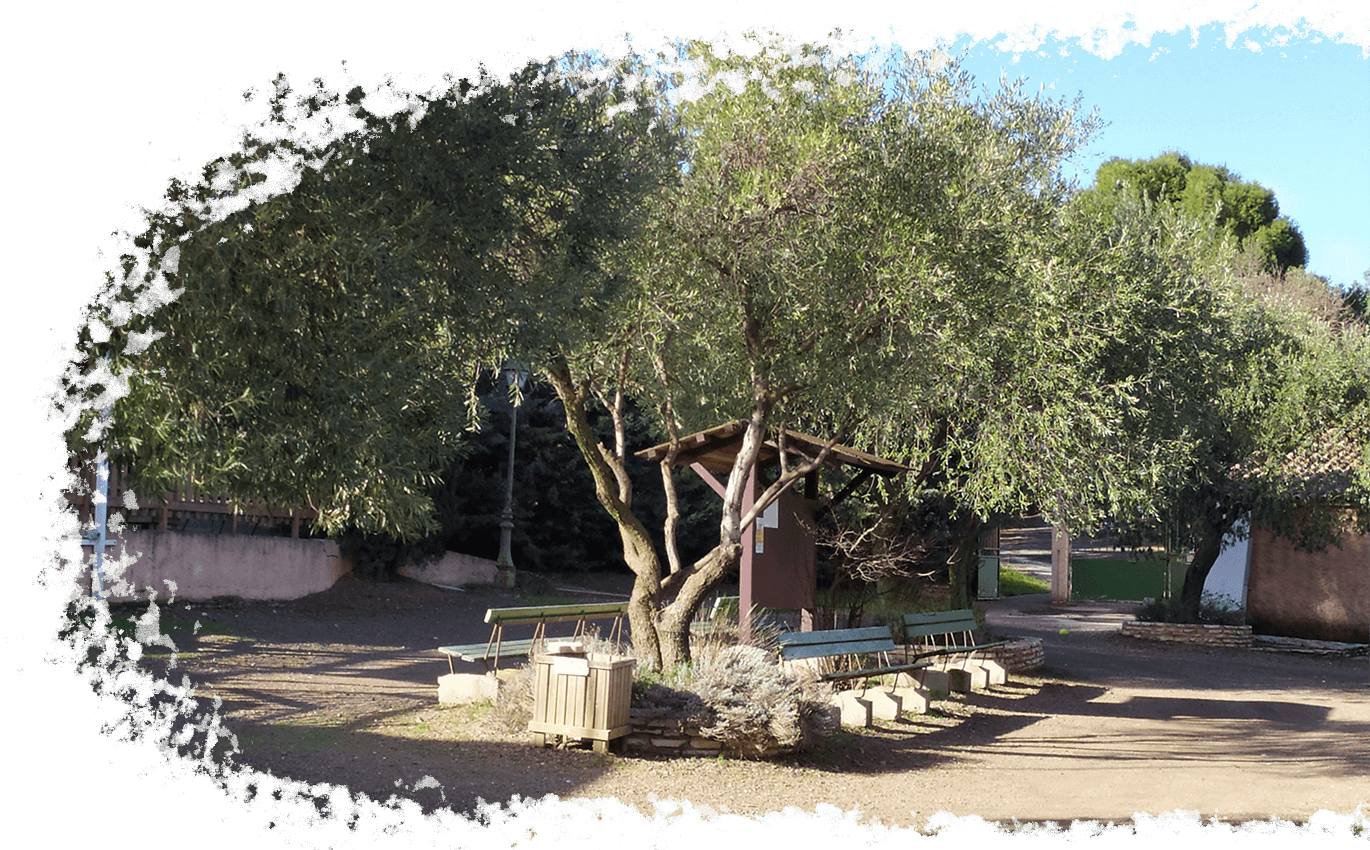 Los servicios ofrecidos en el camping de l’Oliveraie situado al pie del Parque Natural Regional del Haut Languedoc